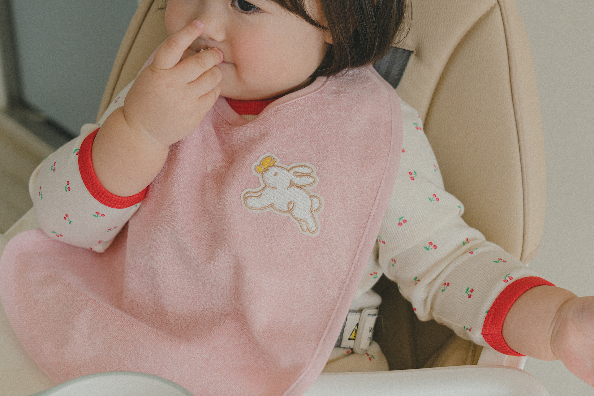 Moriton Wash Bib
